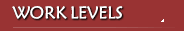 Work Levels